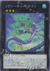  ROTA-JP042 SR リヴァーチュ・ドラゴン 