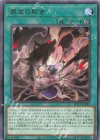  ROTA-JP055 R 罪宝の欺き 
