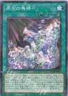  ROTA-JP059 N 原石の鳴獰 