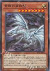  SD47-JP004 N 青眼の亜白龍 