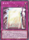  SD47-JP028 N 真の光 