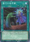 SD48-JP027 N 墓穴の指名者