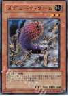 SD7-JP014 N メデューサ・ワーム