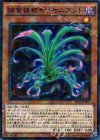 SPFE-JP001 P-N 捕食植物セラセニアント