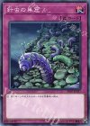 SR07-JP037 N 針虫の巣窟