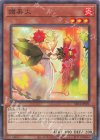  SR14-JP021 P-N 讃美火 