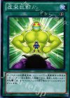  ST13-JP025 N 虚栄巨影 