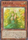  SUDA-JP029 NR 表裏の女神 