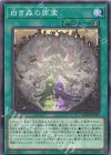  SUDA-JP055 N 白き森の罪宝 