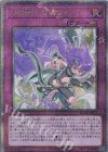  SUDA-JP071 QCSE ARG☆S-紫電のテュデル 