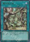 TDS1-JP023 UR 魔法族の里 