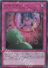  TDS2-JP027 UR 狂惑の落とし穴 