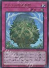  TDS2-JP037 UR ナチュルの神星樹 