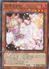  TT01-JPB11 N 灰流うらら 