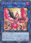 TT02-JPA31 N トロイメア・フェニックス