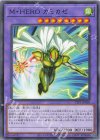  TTP1-JP038 N M・HERO カミカゼ 