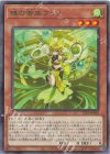  TTP1-JP062 R 珠の御巫フゥリ 