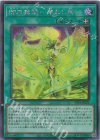  TTP1-JP071 SE 御巫舞踊-迷わし鳥 