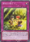  TTP1-JP073 N 御巫の契り 