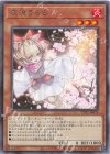  TTP1-JP078 R 灰流うらら 