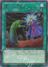  TTP1-JP086 R 墓穴の指名者 