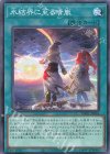  TW01-JP044 N 氷結界に至る晴嵐 