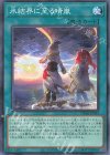  TW01-JP044 P-N 氷結界に至る晴嵐 