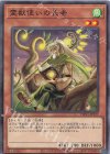  TW01-JP127 N 霊獣使いの長老 
