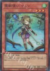  TW01-JP128 P-SR 霊獣使い ウェン 