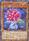  TW02-JP053 P-N クリスタル・ローズ 