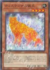  WPP5-JP017 N ティスティナの猟犬 