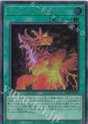  WPP5-JP037 SE ヴェイドスの目覚め 