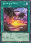  WPP5-JP062 N サンセット・ビート 