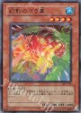 N 幻影のゴラ亀