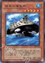 R 暗黒大要塞鯱