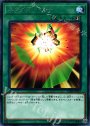R スクイブ・ドロー