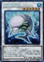 CR 白闘気海豚
