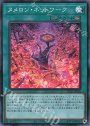 SR ヌメロン・ネットワーク