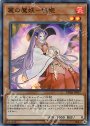 SR 麗の魔妖-妲姫