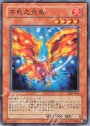 N 不死之炎鳥