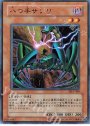 N 八つ手サソリ