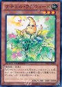 N ナチュル・ラグウィード