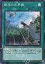 SR 魅惑の未界域