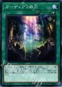N ガーディアンの力