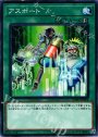 N アスポート