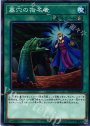 N 墓穴の指名者
