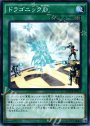 N ドラゴニックD