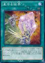 N 星守る結界