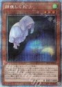 PSE 朔夜しぐれ（イラスト違い版）