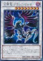 SE 玄翼竜 ブラック・フェザー